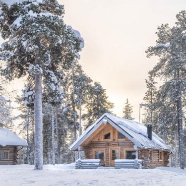 Traditional wooden log cabin nestled among snow-dusted pine trees