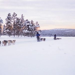 husky ride