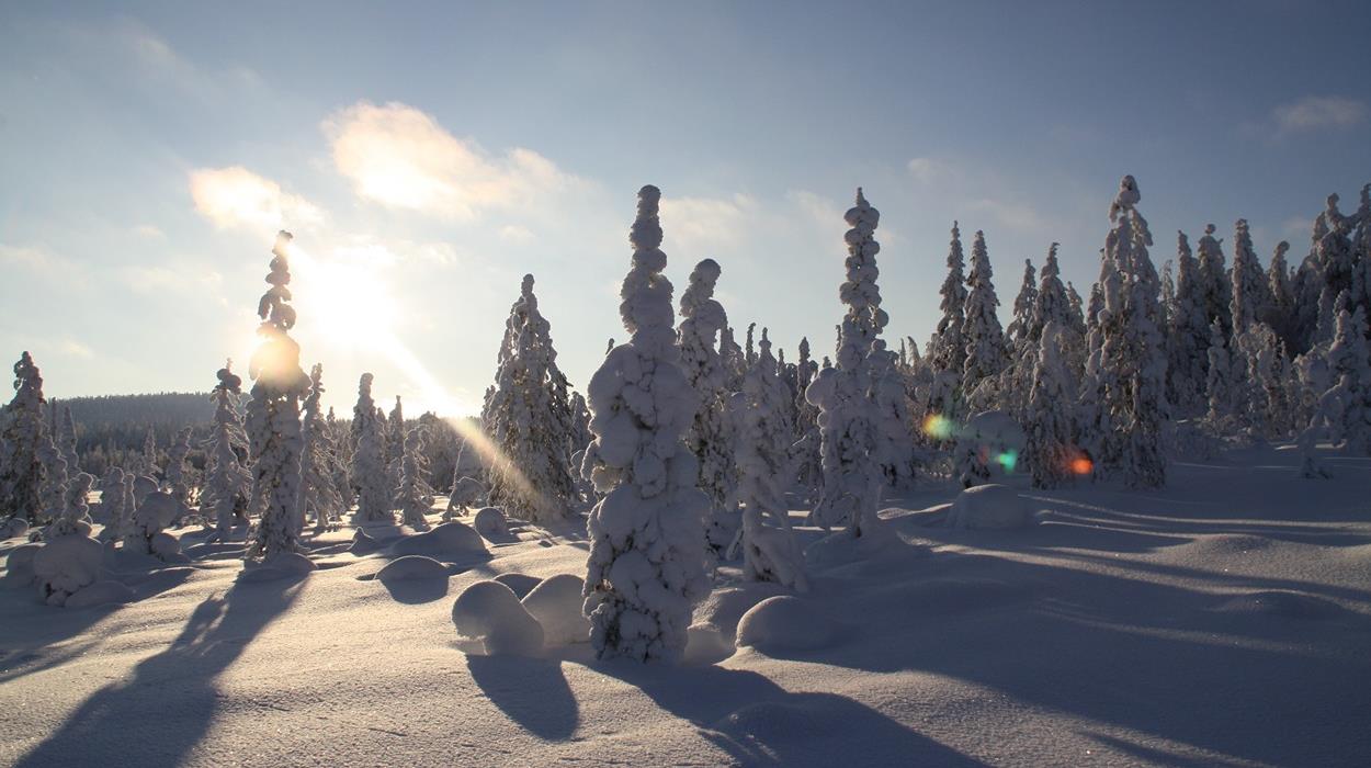 Finland Northern Lights Holiday In Ruka 